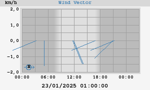 Wind Vector